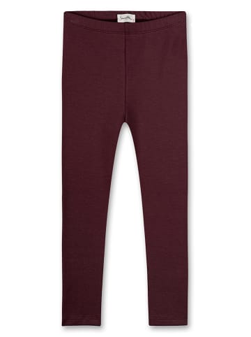 Sanetta Pure Leggings in Aubergine