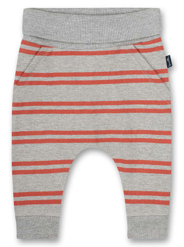 Sanetta Kidswear Spodnie dresowe w kolorze szarym