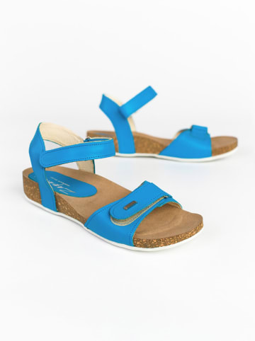 Zapato Leren sandalen blauw