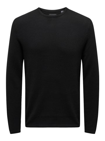 ONLY & SONS Pullover "Panter" in Schwarz