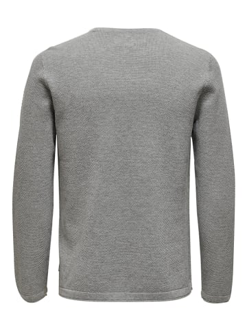 ONLY & SONS Pullover "Panter" in Grau