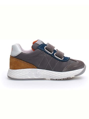 Naturino Leder-Sneakers "Jesko" in Grau