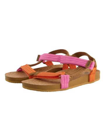 Reef Sandalen "Cushion Rem" in Pink/ Orange