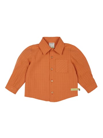 loud + proud Koszula w kolorze pomarańczowym