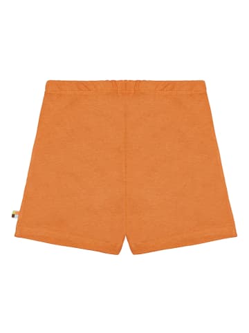 loud + proud Shorts in Orange