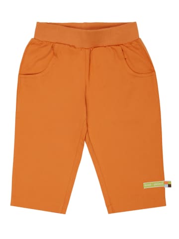 loud + proud Spodnie dresowe w kolorze pomarańczowym