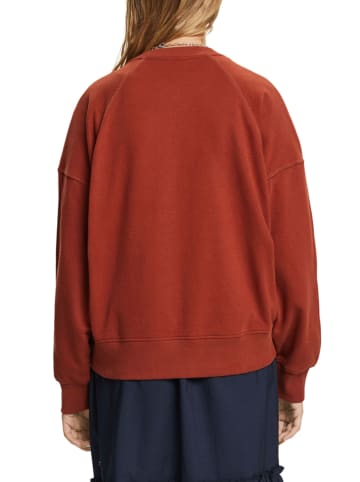 ESPRIT Sweatshirt bruin
