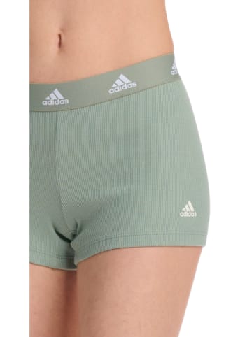 adidas Panty in Oliv