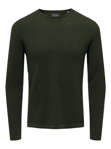 ONLY & SONS Pullover "Panter" in Grün