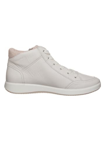 Ara Shoes Sneakers in Creme