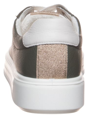 Ara Shoes Sneakers in Khaki