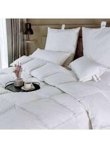 Befa Ganzjahresdecke in Weiß