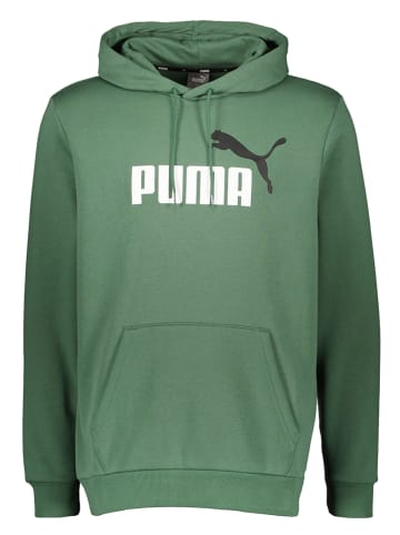 Puma Hoodie in Grün