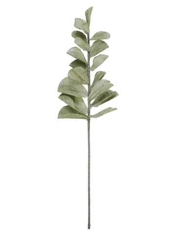 Eightmood Dekoracyjny kwiat "Delary" w kolorze zielonym - dł. 78 cm