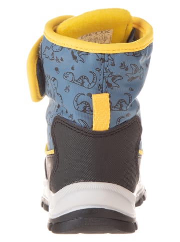 Geox Leder-Winterstiefel in Blau