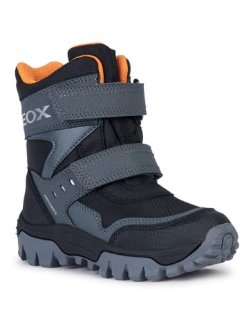 Geox Winterboots "Himalaya" in Grau