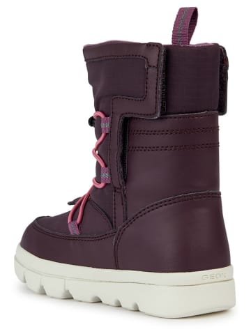 Geox Winterboots "Willaboom" in Lila