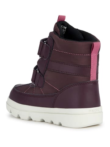 Geox Winterboots "Willaboom" in Lila