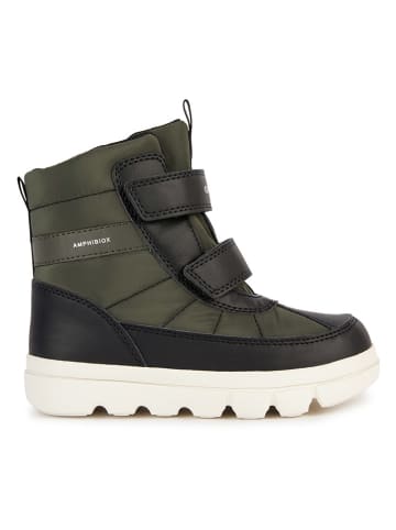 Geox Winterboots "Willaboom" in Khaki