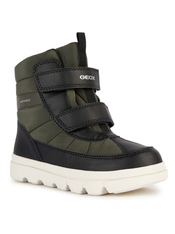 Geox Winterboots "Willaboom" in Khaki