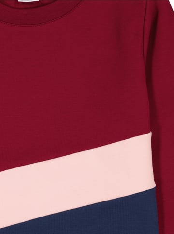 lamino Sweatshirt in Rot/ Dunkelblau/ Rosa