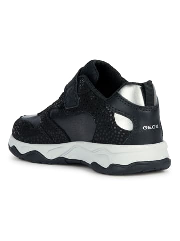 Geox Sneakers "Calco" in Schwarz