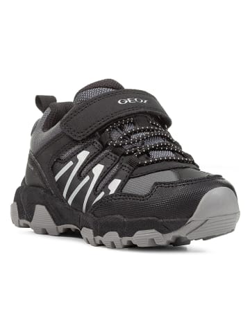 Geox Wanderschuhe "Magnetar" in Schwarz