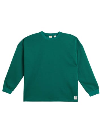 Levi's Bluza w kolorze zielonym