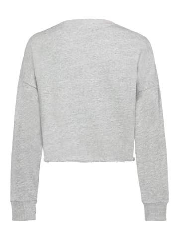 Sublevel Sweatshirt in Grau