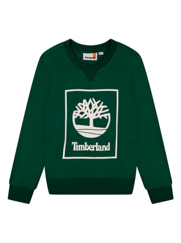 Timberland Sweatshirt in Dunkelgrün