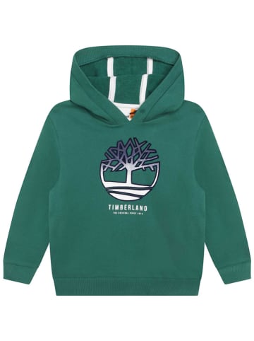 Timberland Bluzka w kolorze zielonym