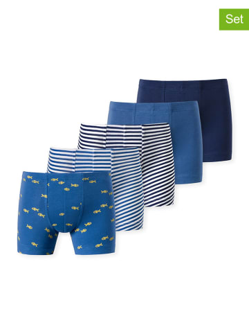Schiesser 5-delige set: boxershorts blauw/wit