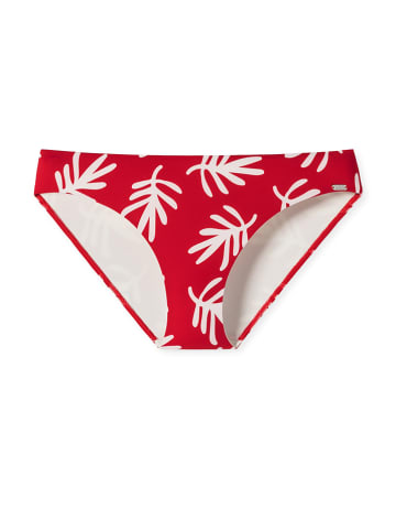 Schiesser Bikini-Hose in Rot