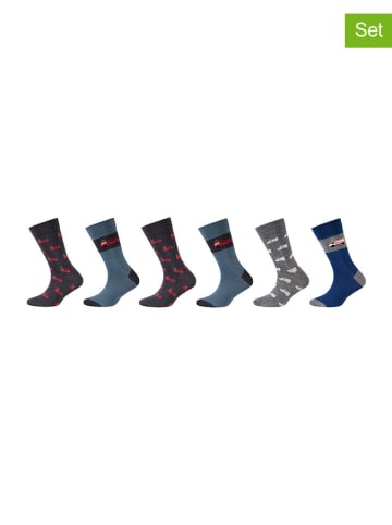 camano 6er-Set: Socken in Bunt