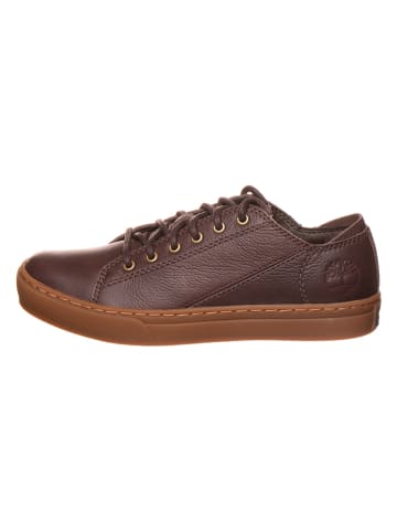 Timberland Leder-Sneakers in Dunkelbraun