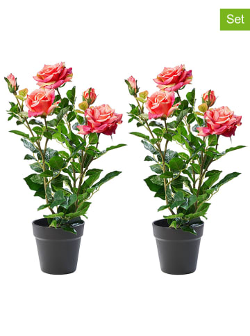 AMARE 2-delige set: kunstplanten roze/groen - (H)58 cm