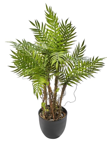AMARE Kunstplant groen - (H)60 cm