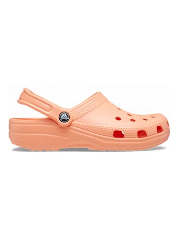 Crocs Crocs in Orange