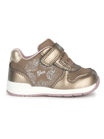 Geox Sneakers "Rishon" in Gold