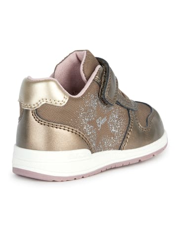 Geox Sneakers "Rishon" in Gold