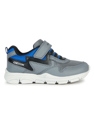 Geox Leder-Sneakers "New Torque" in Grau
