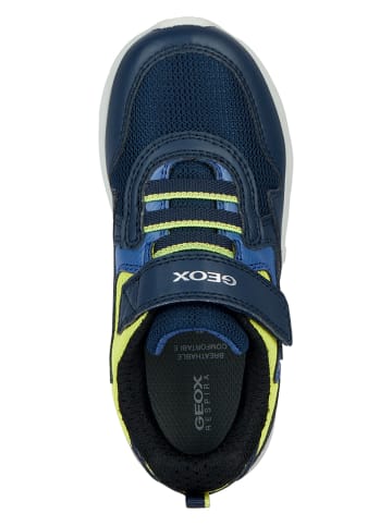 Geox Leren sneakers "New Torque" donkerblauw