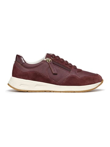 Geox Sneakers "Bulmya" bruin