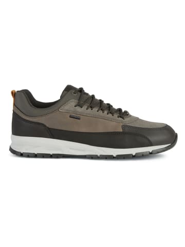 Geox Sneakers "Delray" kaki