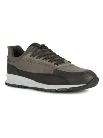 Geox Sneakers "Delray" in Khaki