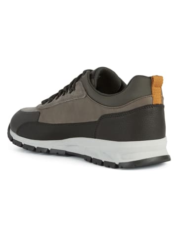 Geox Sneakers "Delray" in Khaki