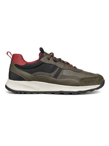Geox Sneakers "Terrestre" kaki