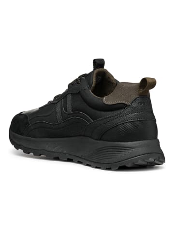 Geox Sneakers "Terrestre" in Schwarz