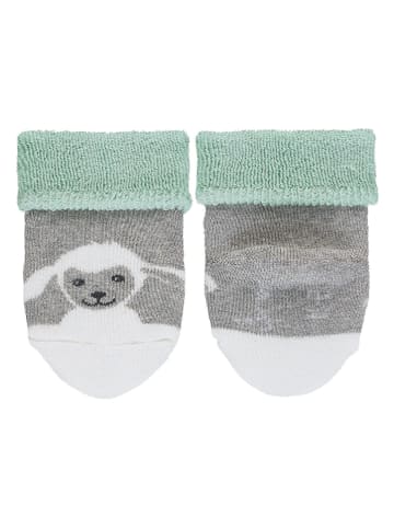 Sterntaler Baby-Socken in Grau