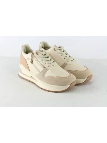 Sixth Sens Sneakers in Beige/ Gold